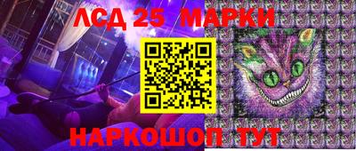 мяу мяу мука Гулькевичи