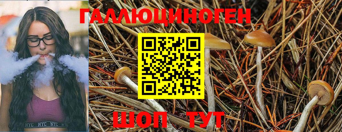 Псилоцибиновые грибы ЛСД  Галлюциногенные грибы GOLDEN TEACHER  Вход с VPN  Людиново 